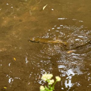 foto 01.06.25  21 02