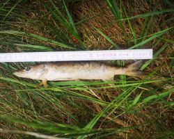 foto 02.06.25 0 53 24  