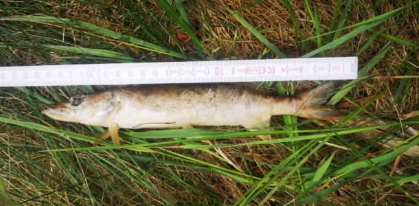 foto 02.06.25 0 53 24  