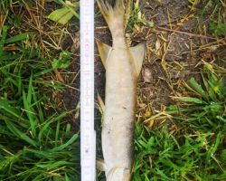 foto 02.06.25  10 534  