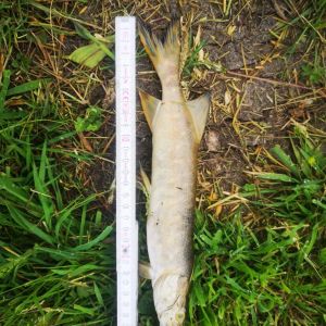 foto 02.06.25  10 534  