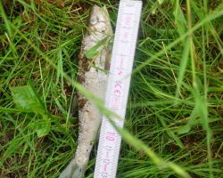 foto 02.06.25  10 53 24  