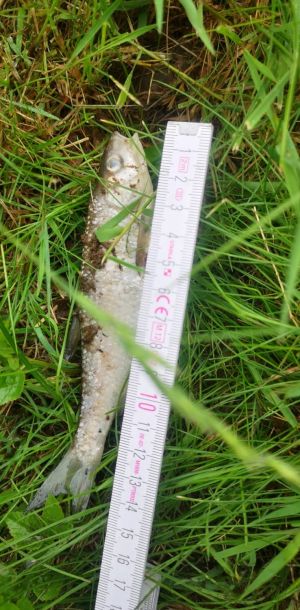 foto 02.06.25  10 53 24  