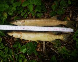 foto 02.06.25  10 53 24  