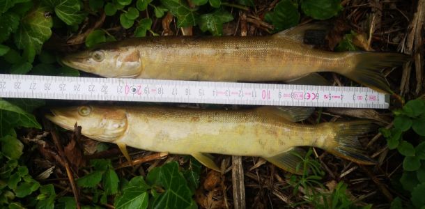 foto 02.06.25  10 53 24  