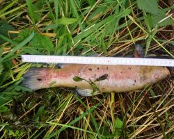 foto 02.06.25  10 535  