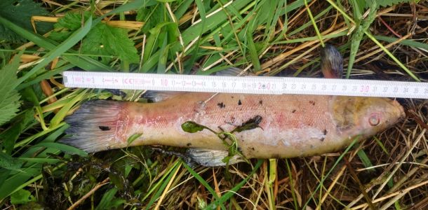 foto 02.06.25  10 535  