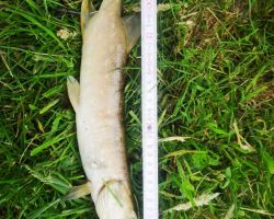 foto 02.06.25  10 53