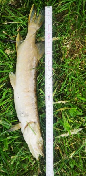 foto 02.06.25  10 53