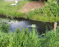 foto 02.06.25  19 02