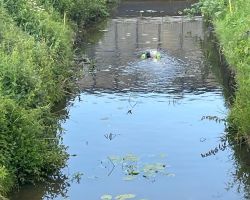 foto 02.06.25  19 30