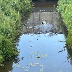 foto 02.06.25  19 30