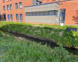 foto 02.06.25  19 36