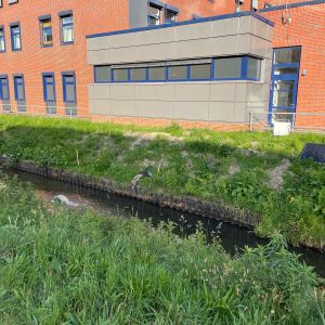 foto 02.06.25  19 36