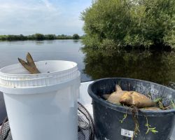 foto 18.08.24  10 53