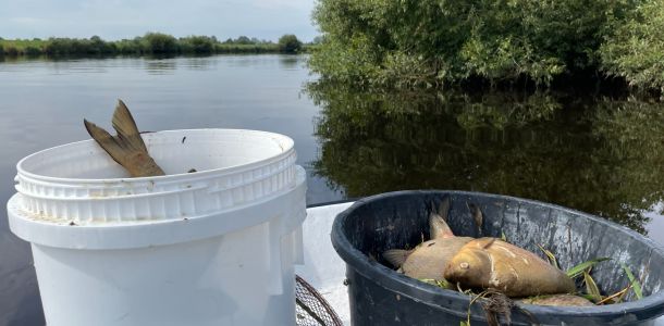 foto 18.08.24  10 53