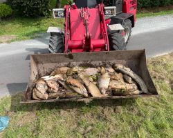 foto 18.08.24  12 11