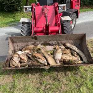 foto 18.08.24  12 11