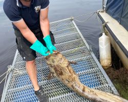 foto 18.08.24  13 28