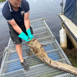 foto 18.08.24  13 28