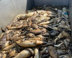 foto 19.08.24  11 34