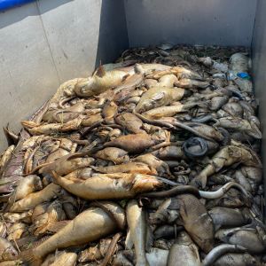 foto 19.08.24  11 34