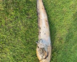 foto 19.08.24  18 38