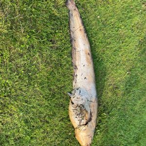 foto 19.08.24  18 38