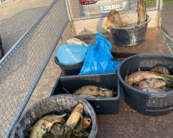 foto 19.08.24  18 40