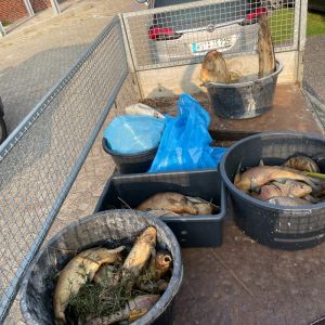 foto 19.08.24  18 40