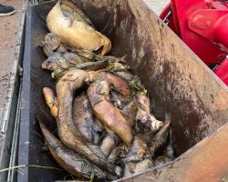 foto 19.08.24  19 29