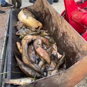 foto 19.08.24  19 29