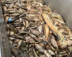 photo 2024 08 18 19 b59