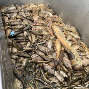 photo 2024 08 18 19 b59