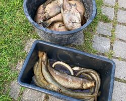 photo 2024 08 19 20 49