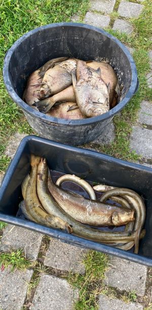 photo 2024 08 19 20 49