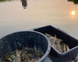 photo 2024 08 19 20 49