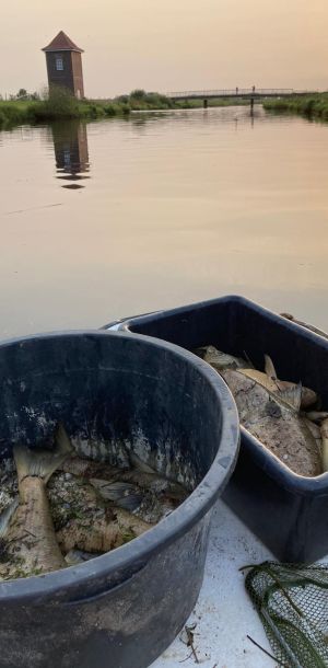 photo 2024 08 19 20 49