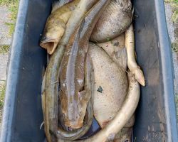 photo 2024 089 21 35 57  