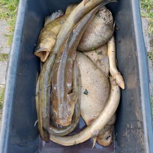 photo 2024 089 21 35 57  