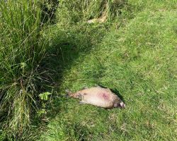 photo 2024 08 20 07 571    