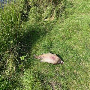 photo 2024 08 20 07 571    