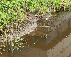 foto 22.03.24  14 37