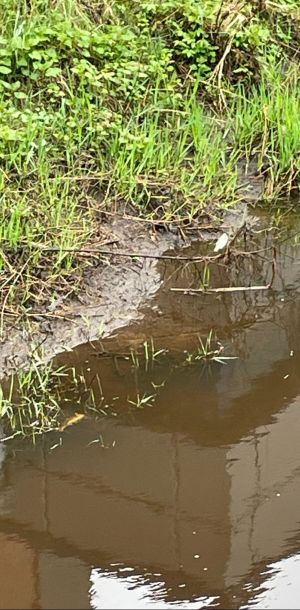 foto 22.03.24  14 37