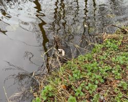 foto 22.03.24  14 46