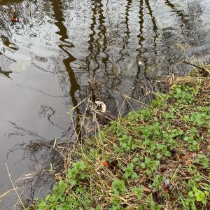 foto 22.03.24  14 46