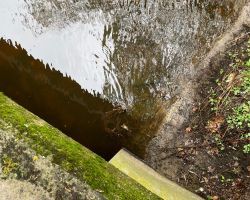 foto 22.03.24  14 47