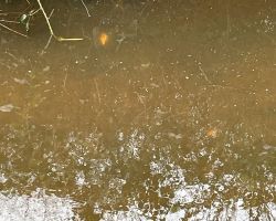 foto 22.03.24  14 48