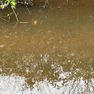 foto 22.03.24  14 48