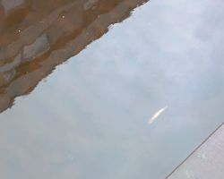 photo 2024 03 223 06 51  